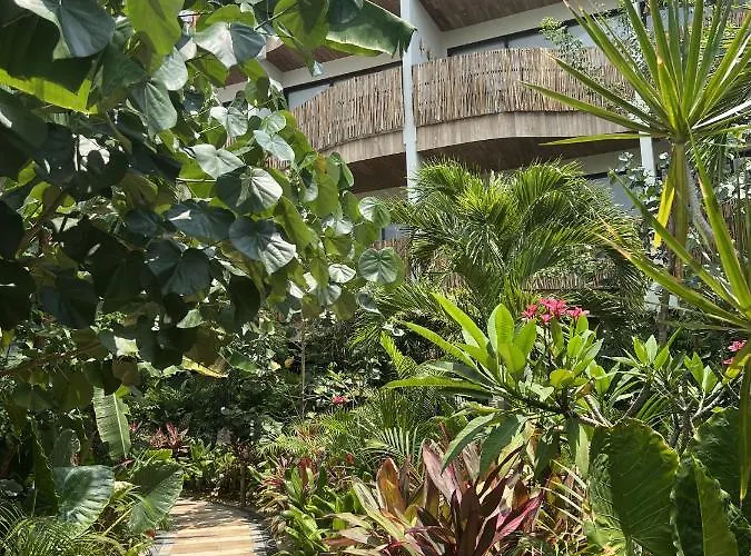 Aparthotel Adora *